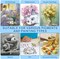 Stretched Canvas for Painting, 8 Pack 9x12 Inch Canvas Value Pack ,Primed Acid-Free Cotton Blank Canvases, Painting Canvas for Oil & Acrylic Paint.